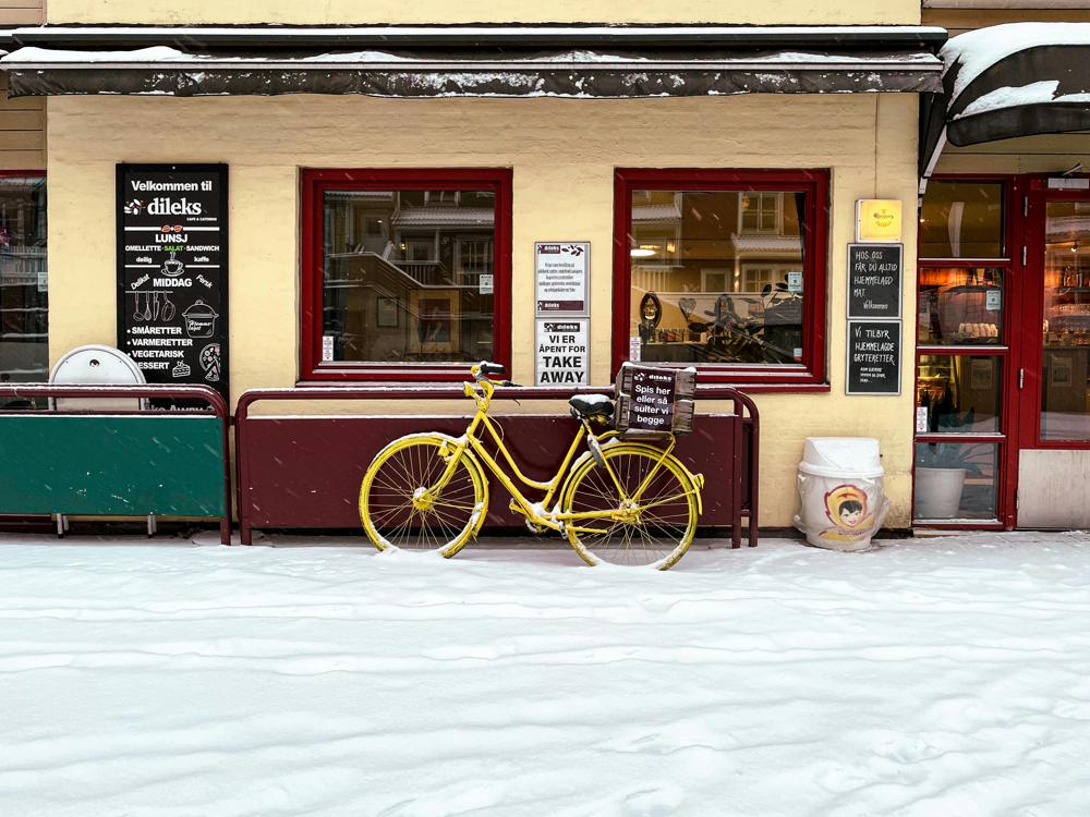 Bicycle shop