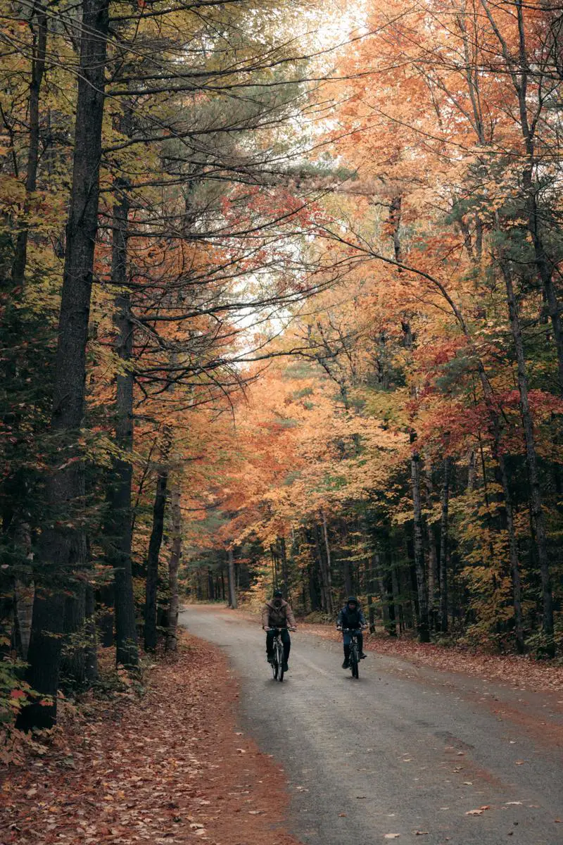 Cycling autumn