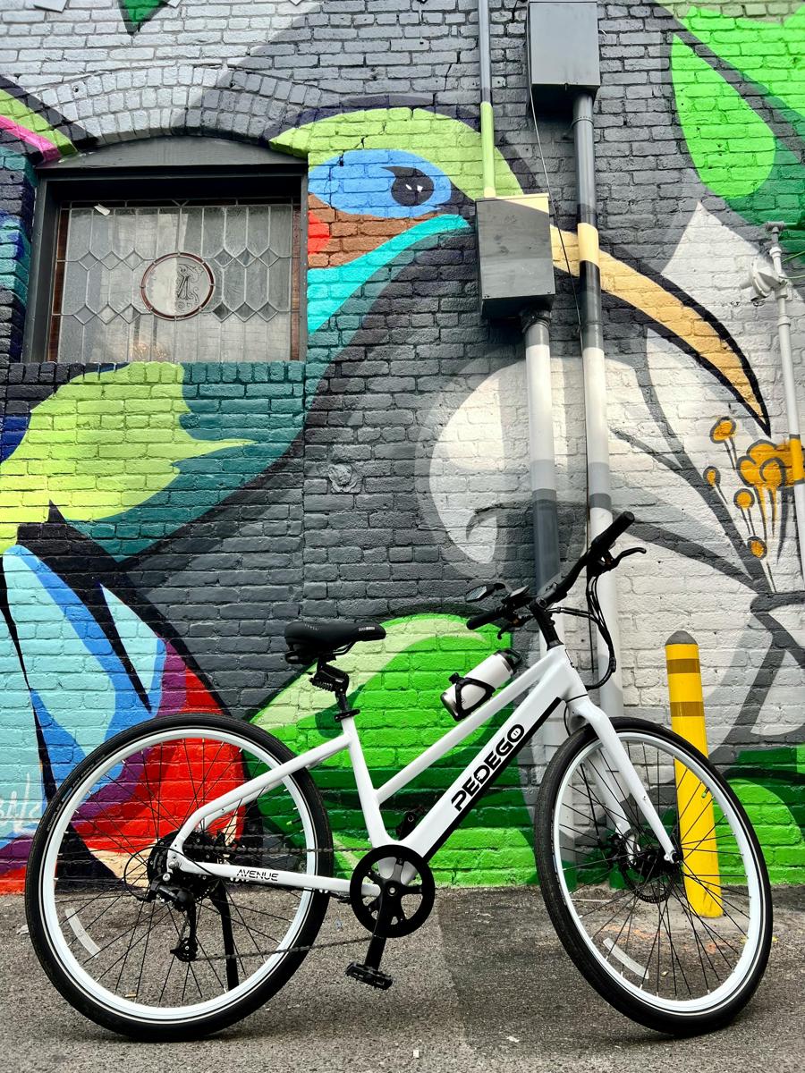 electric bicycle